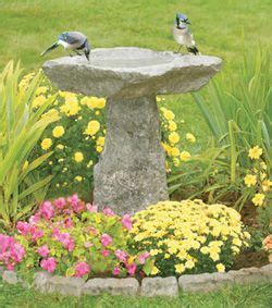 Granite Birdbath Gives Pleasure To The Many Birds That Make My Cottage