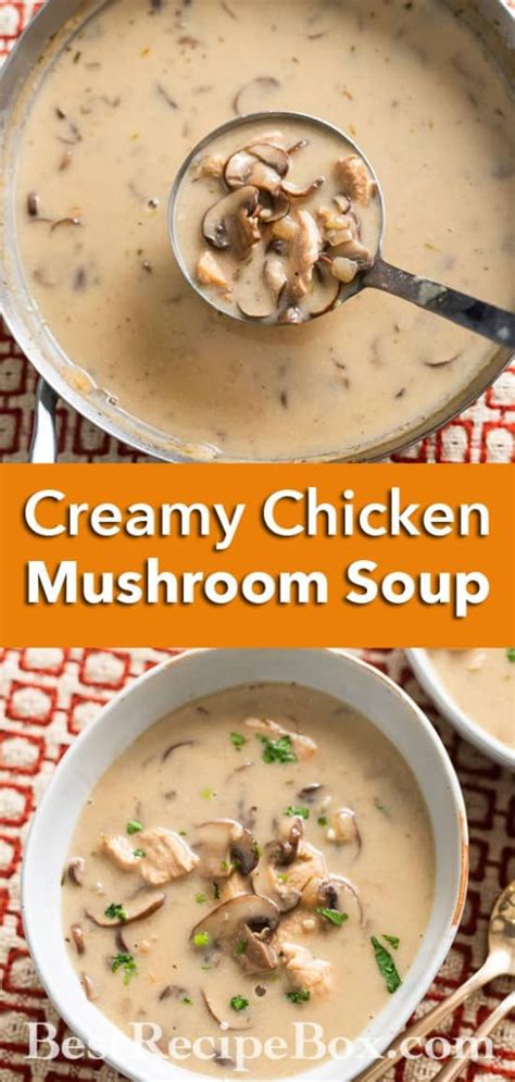 Served with black irish plain porter, scotch irish brewery, carleton place. Chicken Mushroom Soup Recipe @BestRecipeBox in 2020 ...