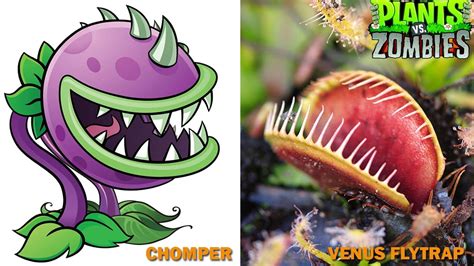 Plants vs Zombies Characters in Real Life - YouTube