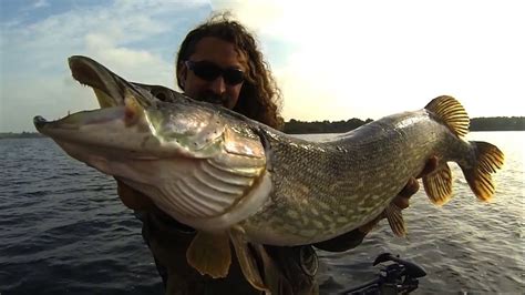 A Pikepride Day Fishing For Big Monster Pike In Ireland Guide