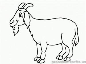 Head is red or brown and their bodies are either pure white or completely brown. Boer Goat Coloring Pages at GetColorings.com | Free ...