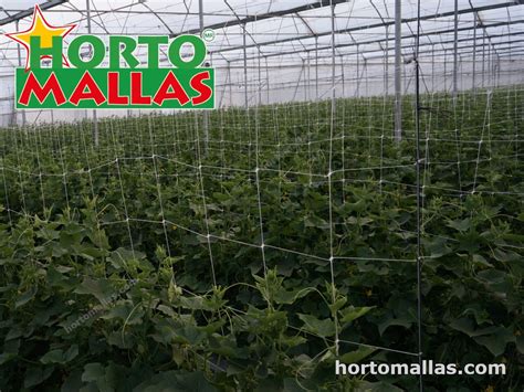 Vegetable Trellis 9 Hortomallas™ Supporting Your Crops®