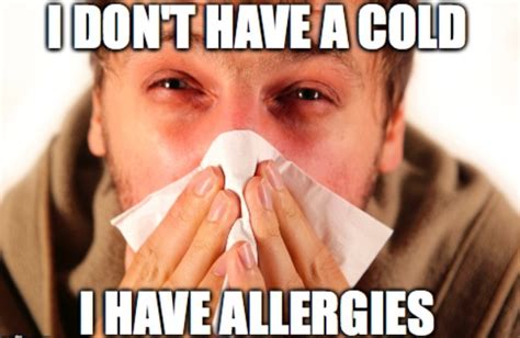 A Guide To Vaping During Allergy Season The Vape Mall