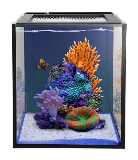 Fajarv Red Sea Nano Reef Tank