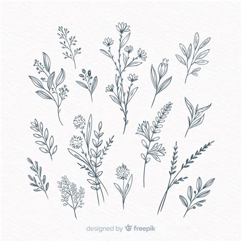 Free Free 108 Hand Drawn Flower Svg Free SVG PNG EPS DXF File