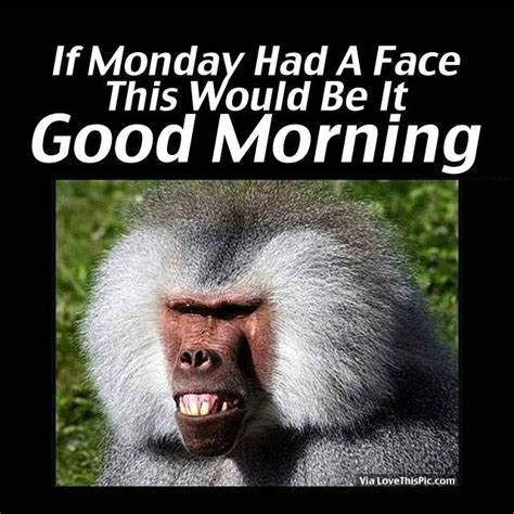 If Monday Had A Face This Would Be It Good Morning Happy Monday Images Funny Good Morning