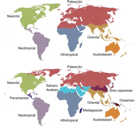Geographic Regions Of The World