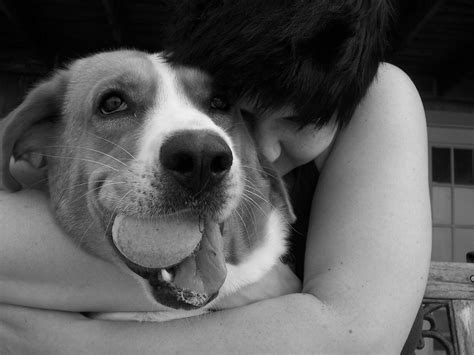 30 Razones Por Las Que Los Amantes De Los Perros Están Locos