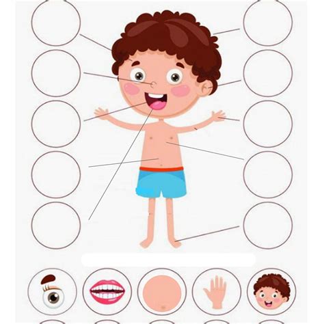 Pin The Body Part Whole Body Fasting Game Buzz Ideazz