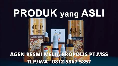 Jual Melia Propolis Sawah Besar Jakpus Call Agen Resmi