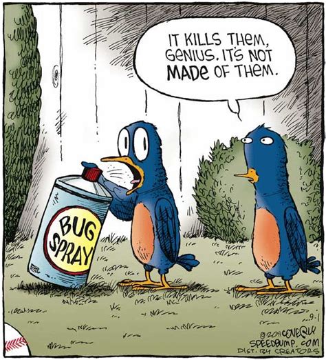 Bird Jokes Funny Clean Jokes4laugh Really Funny Pictures Funny