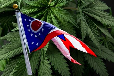 Ohio Becomes The 24th State To Legalize Adult Use Cannabis Greenstate Greenstate