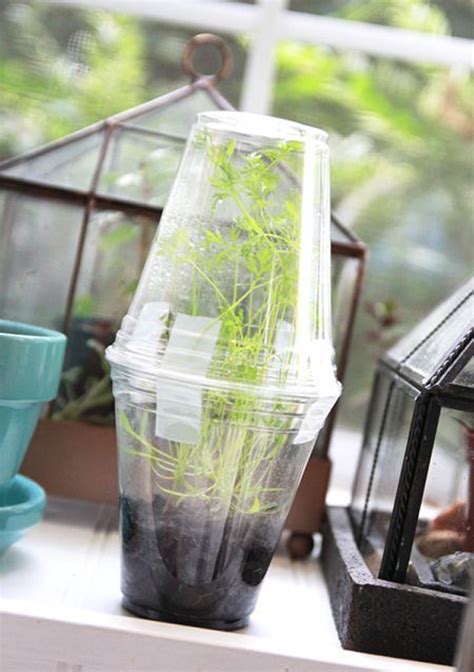 super-simple-greenhouse-ideas-for-kids | HomeMydesign