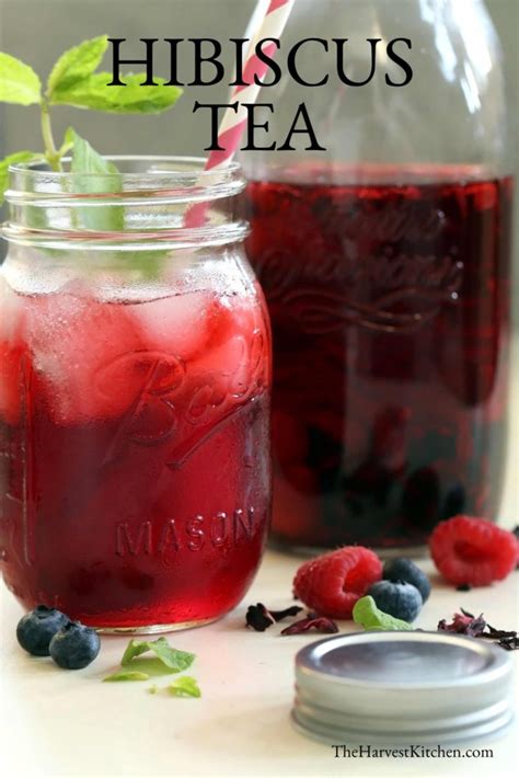 Hibiscus Tea Recipe The Harvest Kitchen