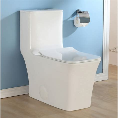 Horow One Piece Elongated Dual Flush Toilet For Bathroom Comfort Height