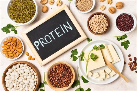 A Complete Guide To Hemp Protein Vs Other Plant Based Proteins