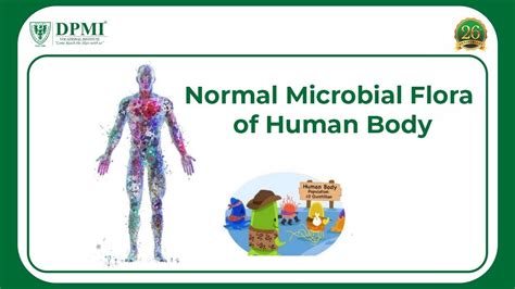 Normal Microbial Flora Of Human Body Types And Role Of Microbial Flora