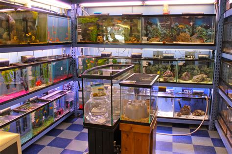We are an exotic pet store that specializes in reptiles, birds, fish, among others that are hand fed & raised to be perfect family pets. Pet Shops Near Me - Cat and Dog Lovers