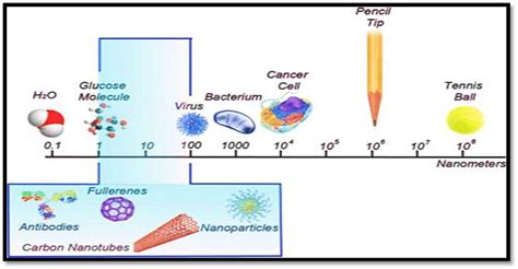 The Scale Of Things Referenced To Nanometer Source T