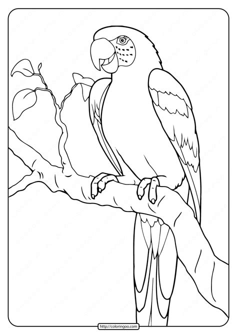 Parrot Coloring Sheets Printable Coloring Pages