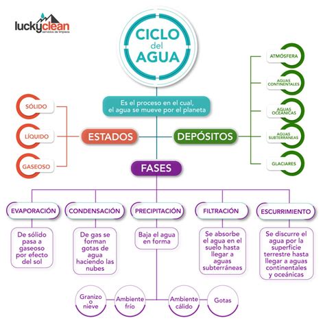 Mapa Conceptual Mapa Mental Del Ciclo Del Agua Ciclo Del Agua Images