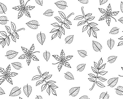 Autumn Leaves Pattern Seamless Background And Illustration 11124647
