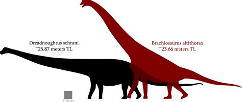 Смотреть видео ppba argentinosaurus vs brachiosaurus на v4k бесплатно. Size comparison scale | The World of Animals
