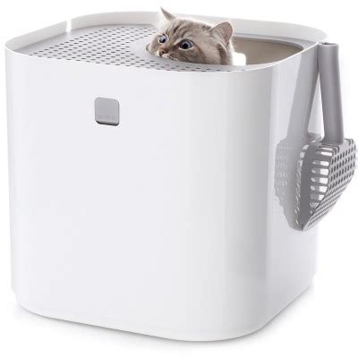 We put it together the very day it arrived and placed it in the same location that their previous litter pan had been. best rated cat litter box | Pet Territory