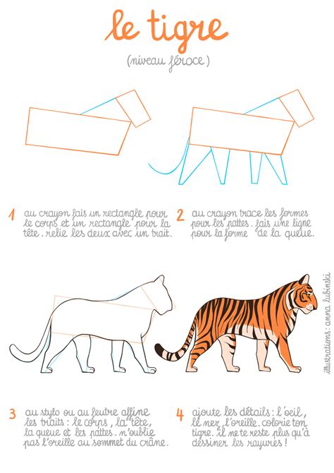 Apprendre Dessiner Les Animaux Le Tigre Anna Lubinski Blog