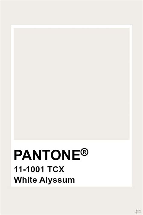 Pantone White Alyssum Pantone Colour Palettes Pantone Color Pantone Swatches