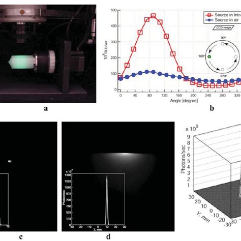 Multi Detector Bioluminescence Imaging Bli Eight Planar Images