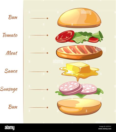 Hamburger Ingredients Vector Infographics Hamburger Food Hamburger