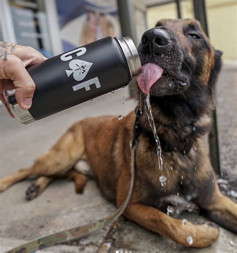 It's time to write a review. Pin on Dogs of Black Rifle Coffee