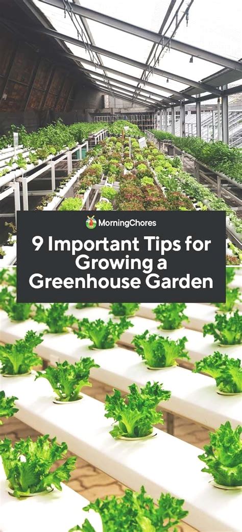 This process makes earth much warmer than it would be without an atmosphere. Turn Your Patio Into A Voluminous Vegetable Garden in 2020 ...