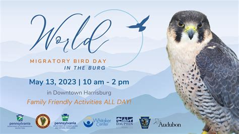 2023 World Bird Migratory Day Whitaker Center