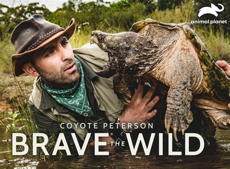 Coyote Peterson Brave The Wild Tv Show Air Dates And Track Episodes