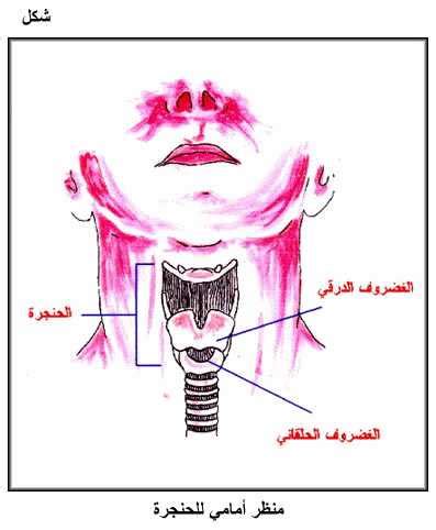 التقدم العلمي دوما اثره ايجابي الا ما يجعله سلبيا هو الانسان نفسه فمثلا جهاز تخصب اليورانيوم اول ما استخدم لهذا الغرض ومن ثم تم إضافة الإجابة من قبل سليمان ادم قبل 3 سنوات. بـــحــث مـــفـــصـــل عــــ || الـجـهـاز الـتـنـفـسـي ...