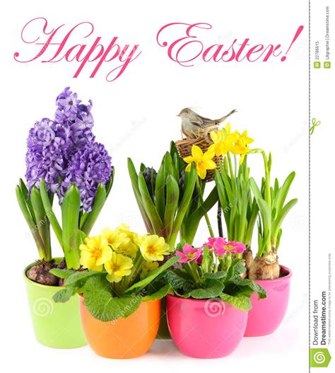 Fresh Spring Flowers With Birds Nest Easter Stock Image Image Of