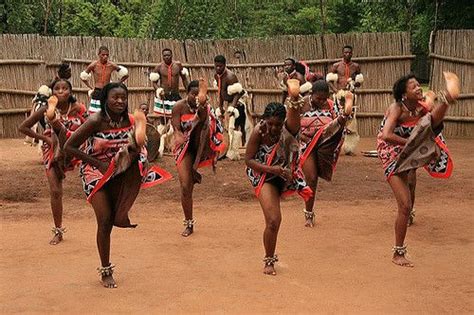 Swaziland Reed Dance No Costumes Cumception