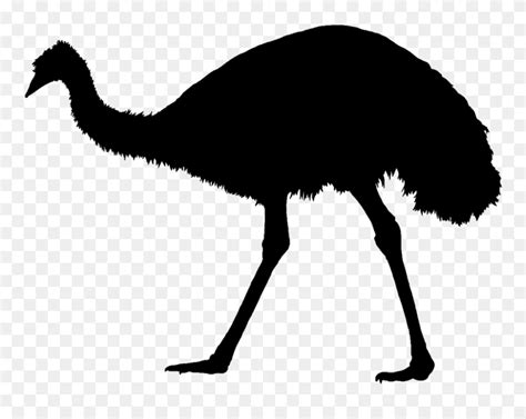 Download Common Ostrich Emu War Silhouette Bird - Silhouette ...