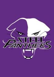 The women's flat track derby association (wftda) is the international governing body for the sport of women's flat track roller derby, and association of leagues around the world. Steel Panthers | Roller Derby Stats & Rankings | Flat ...