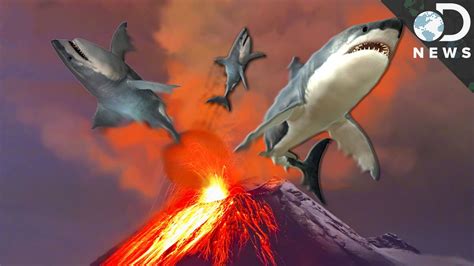 6 Insane Animals That Live In Volcanos Youtube