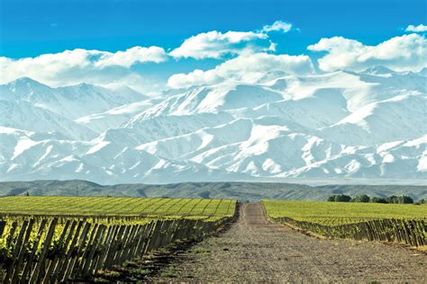 Meat and grain were exported to expanding markets in europe in exchange for fuel and manufactured products. Argentine