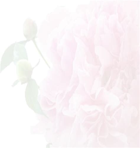 Download Funeral Flower Background Full Size Png Image Pngkit