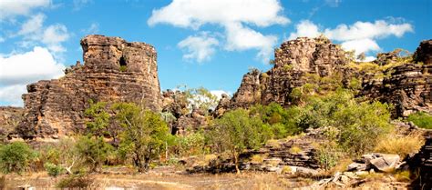 It is recognised as a global treasure, world heritage listed for both its environment and our living aboriginal culture. Kakadu National Park - Goparoo