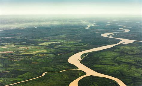 15 Astonishing Facts About The Amazon River Rainforest Cruises