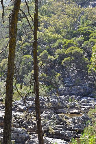 On the border of act and nsw, the molonglo gorge recreation. Molonglo Gorge, Canberra | This series are photographs ...