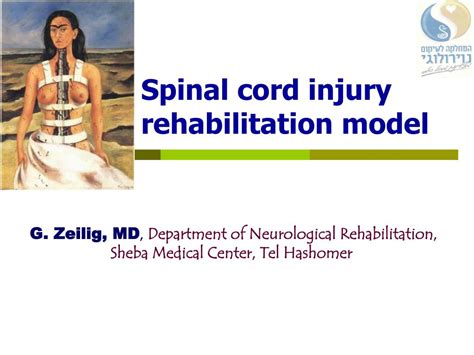 Ppt Spinal Cord Injury Rehabilitation Model Powerpoint Presentation