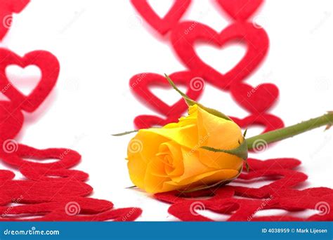 Yellow Rose And Hearts Stock Image Image Of Romance Shaped 4038959
