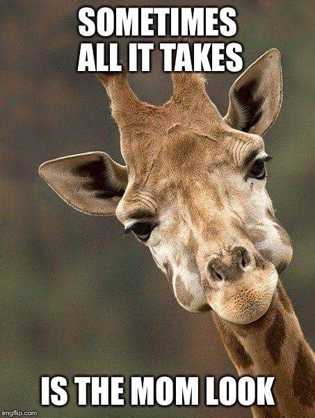 Giraffe Meme